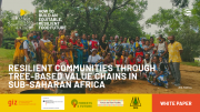 Resilient communities through tree-based value chains in Sub-Saharan Africa